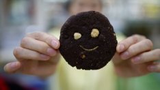 Корейските ядливи насекоми - индустрия за 278 млн. долара