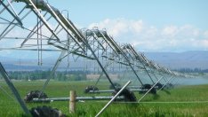 Сушата и пожарите засилват нуждата от внедряване на технологии в земеделието