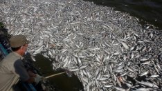 България изпреварва сериозно Румъния по усвояване на евросредства