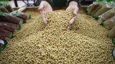 Последното китайско оръжие в търговската война – соята