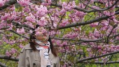 Ще навлезе ли японската икономика в красива хармония?