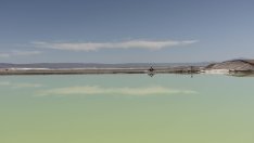 Електромобилите препускат на литиевото увеселително влакче на ужасите