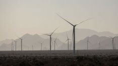 Как зелените облигации помагат в борбата с климатичните промени?