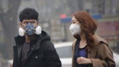 Петте най-големи проблема за околната среда и техните решения