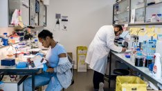 Европа се нуждае от повече от пари, за да привлече американски учени в областта на климата