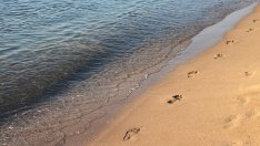 Строителни дейности и край плажа на къмпинг „Градина“