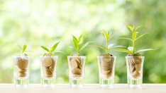 Частното пенсионно осигуряване се готви за отскок