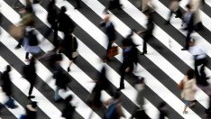 НСИ включва информацията за Преброяване 2021 в нов сайт