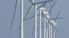 „Зеленото“ възстановяване на икономиката добива все по-голяма полулярност 