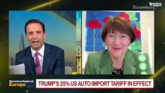 Хилдегард Мюлер: Митата ще нарушат баланса на целия автомобилен пазар