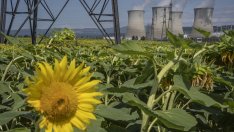 Ядреният ренесанс закъсня - зелените мощности не оставят място за реактори