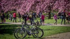 S&P запази кредитния рейтинг на България, но ревизира перспективата до "стабилна"