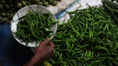 Развиващите се страни се нуждаят от 2 трлн.  долара за "зелено" развитие