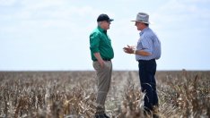 Канбера отпуска 68 млн. долара за пострадалите от сушата фермери