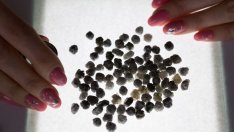 ЕС се подготвя да забрани и руските диаманти