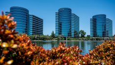 Oracle повиши прогнозата за годишните си приходи заради силното търсене на облачни услуги