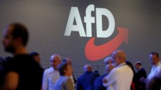 За една година германската крайна десница разтърси политическия живот в страната