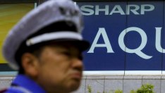 Защо книжата на Sharp се сринаха с 26% само за ден