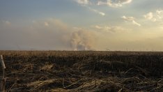 Гърция инвестира над 2 млрд. евро за борба с последиците от изменението на климата