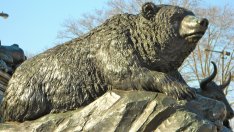 Мечият пазар при акциите вероятно ще продължи и през следващата година