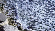 Започва нов етап от изграждането на пречиствателните съоръжения във Варна