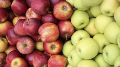 Климатичните промени застрашават 1/3 от храната ни