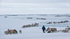 Далечният север каза „не“ на Путин