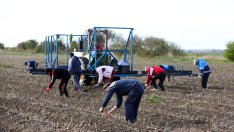Защо държавите се надпреварват за мигранти?