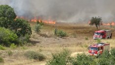 Пожарникари очакват тежък ден след локализирането на 187 огнища за денонощие