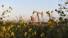 ОПЕК повиши прогнозите си за глобалното търсене на петрол