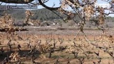 Растящата водна криза в Европа