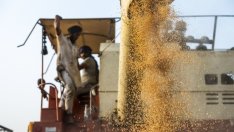 Шокът от по-скъпите храни идва в магазина до вас