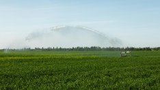 Екоминистерството и земеделското министерство търсят решение на проблема с напояването