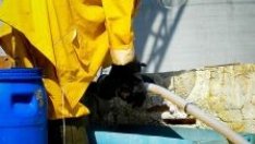 Отскокът в родната индустрия е сред най-силните в ЕС