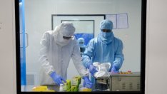 СЗО: Инфекциите сред младите са причина за новите ръстове на заразени с COVID-19