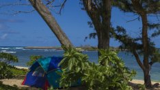 Румен Драганов: България може да увеличи поне три пъти броя на къмпингите