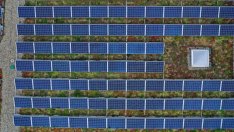 Енергийните общности ли са бъдещето на възобновяемите енергийни източници?