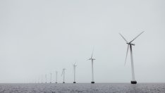 Страните около Северно море планират трансгранични вятърни паркове