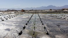 Vulcan ще доставя литий за електромобилите на Renault