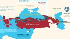 Турция е напът да постигне мечтаната диверсификация на газовите доставки