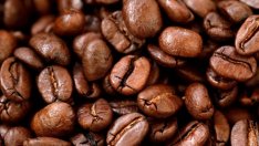 Световните доставки на кафе са изправени пред екзистенциална заплаха