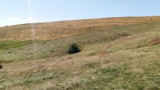 Лек спад на кредитираните от "Елана" покупки на земя за 11-те месеца 