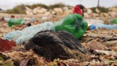 България е първа в ЕС по спад на отпадъците на глава от населението