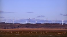 Собственикът на Zara с нова инвестиция във възобновяема енергия