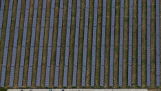 САЩ изграждат слънчева централа в сърцето на своята петролна индустрия