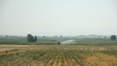 Земеделците ще ползват безвъзмездно вода за поливане до 50 куб. м на денонощие