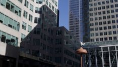 Големи имотни компании в САЩ изкупуват собствените си акции