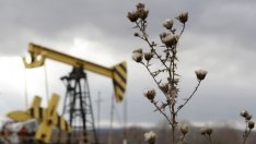 Американският лек суров петрол за кратко поевтиня под 50 долара за барел