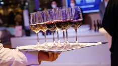 Вече не затворен клуб: Изисканото вино изостря апетита на инвеститорите