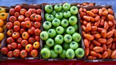 МЗХ предлага допълнителни субсидии за производителите на зеленчуци